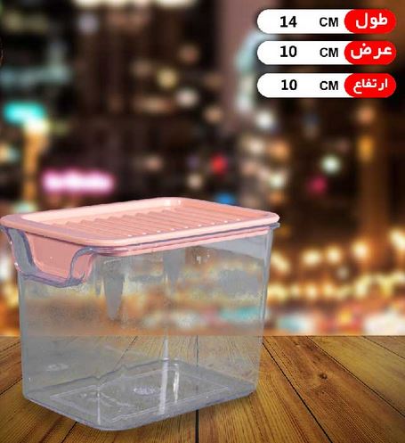 جاحبوبات چهارگوش کوچک دومان