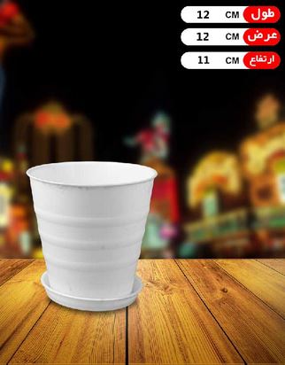 گلدان ارکیده بازیره
